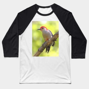 Red bellied woodpecker Baseball T-Shirt